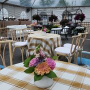 WhatsApp Image 2025-10-20 at 2.26.24 PM (2)