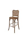 Rustic  Emme Barstool