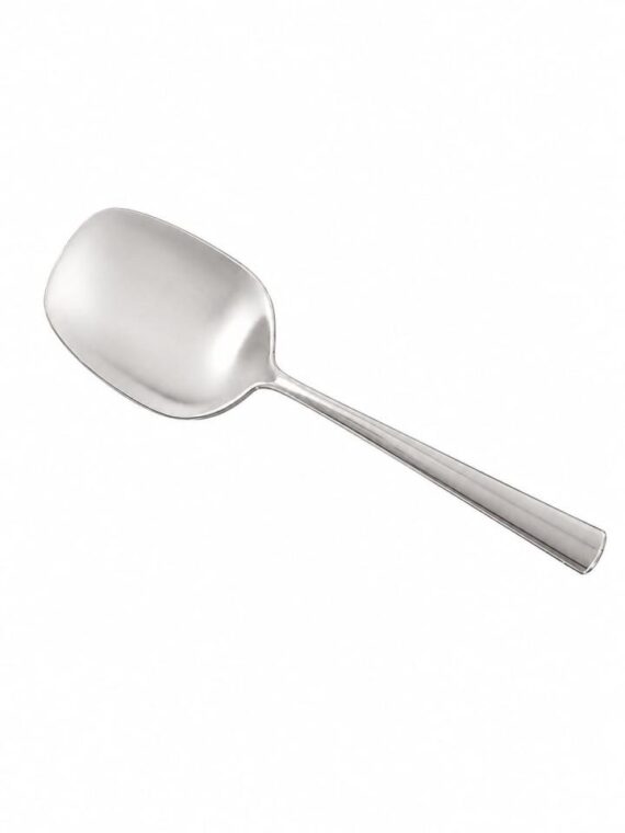 Emperor's  Stainless Steel Serving Spoon